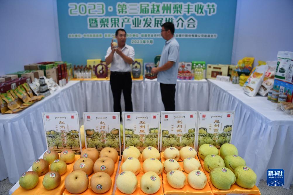在线玩金币