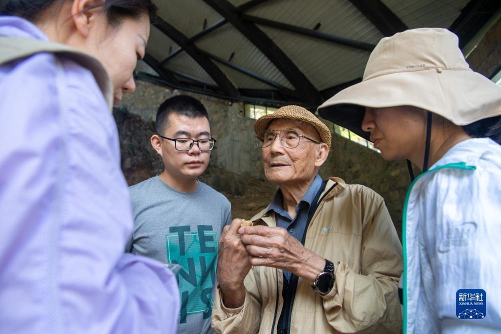 317顶级游戏